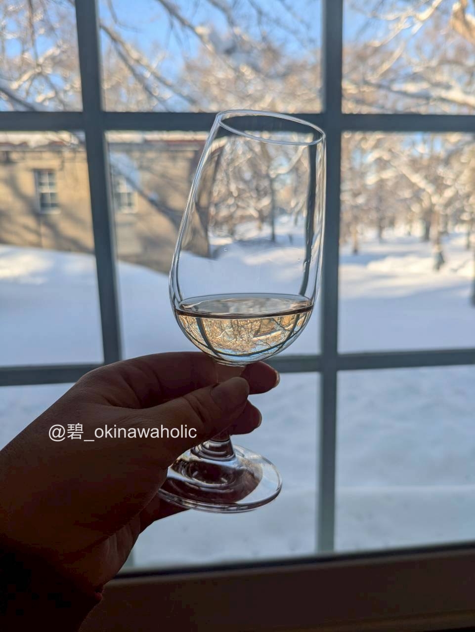 北海道大学　ワイン